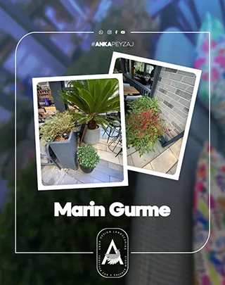 Marin Gurme – Kadıköy