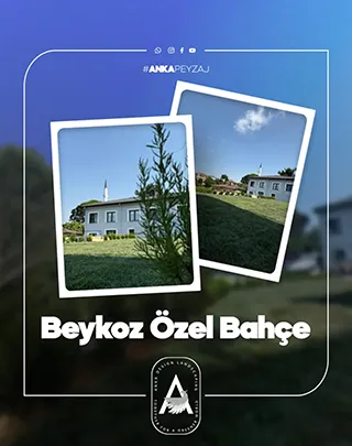 Beykoz Özel Bahçe
