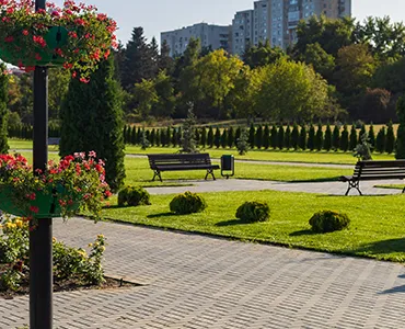 Kentsel Peyzaj Uygulamaları