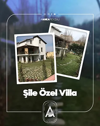 Şile Özel Villa