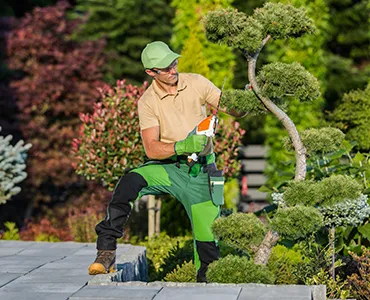 Sürdürülebilir Peyzaj Çözümleri